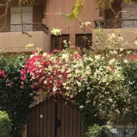 کلنگی-700متر-معالی-آباد-m8