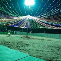 نور پردازی نخل|ریسه و چراغ تزئینی|بندرعباس, |دیوار