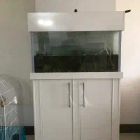 اکواریوم با وسایل تکمیل