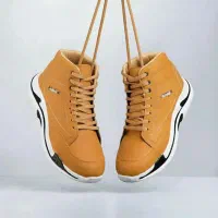 نیم پوت|کیف، کفش، کمربند|پرند, فاز ۶|دیوار