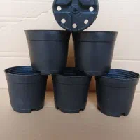 گلدان پلاستیکی ، گلدان زینتی گلپونه