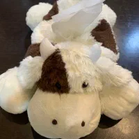 ست جای دستمال ساعت زنگ دار و سطل کودک خارجی|اسباب و اثاث بچه|شیراز, شیمی گیاه|دیوار