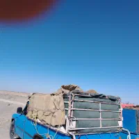 کود حیوانی برای کشاورزی|خدمات باغبانی و درختکاری|مرودشت, ده بید|دیوار