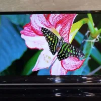 تلویزیون ۴۰ اینچ LED شارپ 40LE3550X|تلویزیون و پروژکتور|ساوه, |دیوار