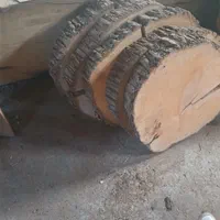 اسلب چوب تنه کالباسی تخته|عمدهفروشی|طاهرگوراب, |دیوار