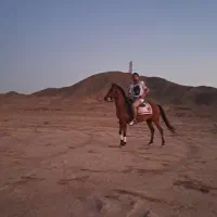 اسب کردزیبا|اسب و تجهیزات اسب‌سواری|سبزوار, کهنه آب|دیوار