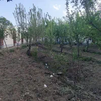 باغ ویلا کلاسیک ۱۳۰۰متری جنگلی کردان.تهراندشت|فروش خانه و ویلا|کرج, شهرک فرهنگیان|دیوار