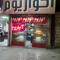 واگذاری وفروش لوازم اکواریم صفرتاصد کامل یکجا|ماهی|مشهد, شهرک رازی (شهرک غرب)|دیوار