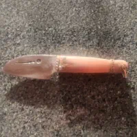 چاقو شاخ بزکوهی|کلکسیون اشیاء عتیقه|سنندج, |دیوار