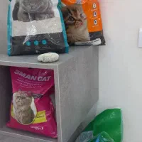 انواع بسته بندی شیک و فله خاک بستر گربه