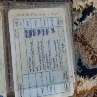 کیف پیدا شده