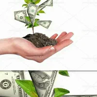 نیازمند اگهی گزار خانوم بدون نیاز به حضور