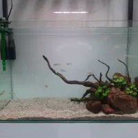 آکواریوم ریملس ۱۰ میل در حد نو|ماهی|شهریار, شهرک بهاران (ویره)|دیوار