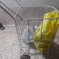 گاری دستی بازاری