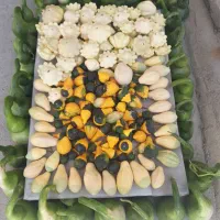 مانتو مسافرتی جاده چالوس|لباس|کرج, باغستان|دیوار