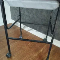 عروس هلندی نر سخنگو|پرنده|پردیس, فاز ۱|دیوار