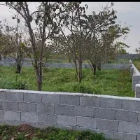 زمین-داخل-بافت-تنکابن-شهسوار