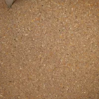 دان مرغ تخمگذار