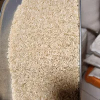 برنج هاشمی خوش عطروپخت اعلا|خوردنی و آشامیدنی|رشت, استادسرا|دیوار