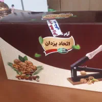 راحت شکن