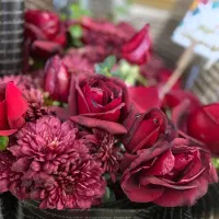 گل طبیعی امروز خریدم خودم۷۰۰خریدم تخفیف واقعی