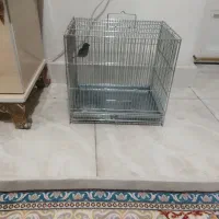 قفس زیبا ومحکم سایز متوسط