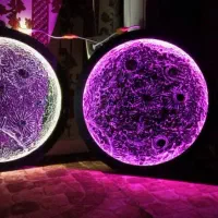 تابلو شب نما