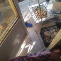 حوض سالم تمیزکاشی کاری سنتی نقدیامعاوضه چراغ شارژی