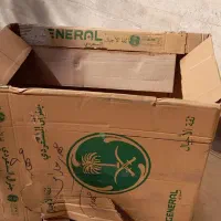 کارتن پتویی