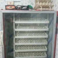 دستگاه جوجه کشی