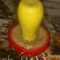 دکوری های فانتزی|صنایع دستی و سایر لوازم تزئینی|تهران, حکیمیه|دیوار