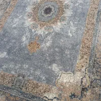 ۶متری نخی|فرش|دزفول, |دیوار