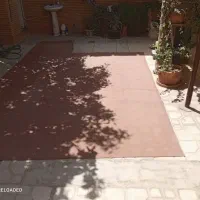 موکت|موکت|شیراز, میانرود|دیوار