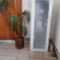 ویترین سه طبقه|کتابخانه، شلف، قفسههای دیواری|سبزوار, کاشفی شمالی (دادگستری)|دیوار