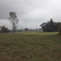 فروش زمین ۱۰۵۰متری همراه با پروانه ساخت|فروش زمین و ملک کلنگی|سنگر, |دیوار