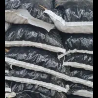 گردو خارجی 63 درصد مغز عمده|خوردنی و آشامیدنی|کوهدشت, |دیوار