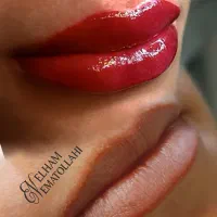 میکرو ابرو هاشور خط چشم شیدلب ریموو پلکسر میکرونید|خدمات آرایشگری و زیبایی|تهران, شارق|دیوار