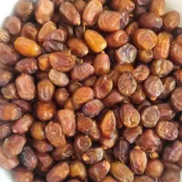 خرماخاصیون