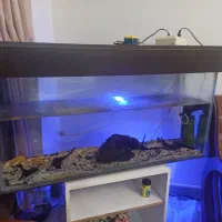 آکواریوم  با وسایل جانبی