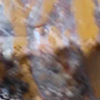 سنگ قیمتی|کلکسیون اشیاء عتیقه|بروجرد, |دیوار