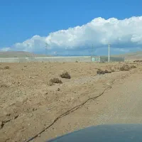اجاره ۱ هکتار دامداری و محوطه و سوله صنعتی|اجارهٔ دفتر صنعتی، کشاورزی، تجاری|ساوه, |دیوار