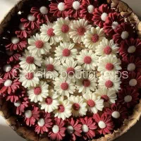 گیفت یلدایی.عقد .عروسی .تولد .جشن ها