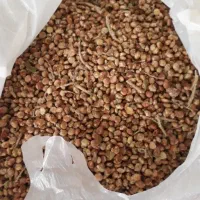 سماق با کیفیت|خوردنی و آشامیدنی|یاسوج, |دیوار