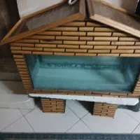 آکواریوم|ماهی|بروجرد, |دیوار