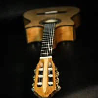 گیتار کلاسیک کنسرتی|گیتار، بیس، امپلیفایر|تهران, شیخ هادی|دیوار