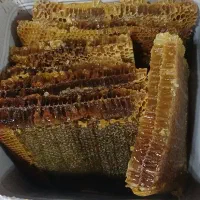 عسل کوهی صد درصد طبیعی