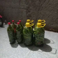 خیار شور تازه|خوردنی و آشامیدنی|مشهد, توس فردوسی|دیوار