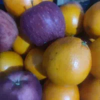 نیازمند شاگرد