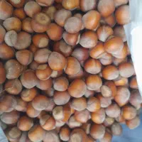 فندق|خوردنی و آشامیدنی|لاهیجان, کوی زمانی|دیوار