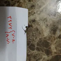 خط ثابت رند اشکذر